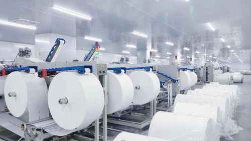 從代工廠到零售巨頭 重慶淘特工廠解鎖家居用品銷售轉型新密碼